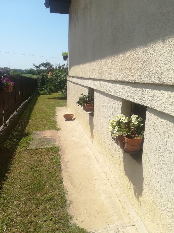 Anejo Apartment Белград Екстериор снимка